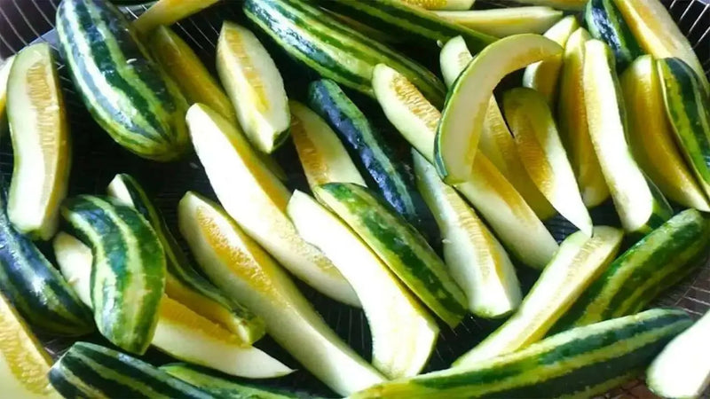 Pickling Melon Seeds "Green Stripe" (Cucumis melo var conomom) asian Vegetable - Caribbean garden seed