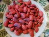 PINK BEANS SEEDS, BUSH BEAN - Caribbean garden seed