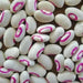 Pink Eyed Purple Hulled Cowpea Seed (vigna unguiculata) Southern Pea - Caribbean garden seed