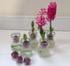 Pink Hyacinth Bulb Forcing Kit - Clear Glass Vase with Pink Hyacinth Bulb - Caribbean garden seed