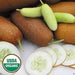 Poona Kheera CUCUMBER SEEDS HEIRLOOM VEGETABLE - Caribbean garden seed