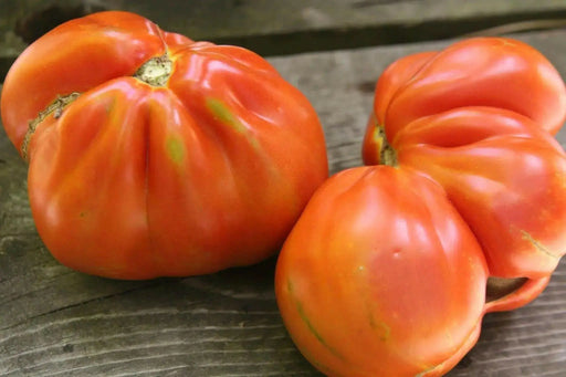 Pomodoro,Red Pear tomato Seeds. beefsteak- Italian vegetable - Heirloom Tomato - Caribbean garden seed