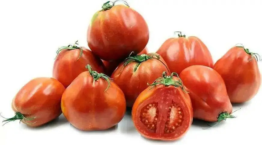 Pomodoro,Red Pear tomato Seeds. beefsteak- Italian vegetable - Heirloom Tomato - Caribbean garden seed