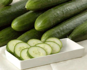 POINTSETT Cucumber Seeds .slicing cucumber,Open Pollinated vegetable - Caribbean garden seed