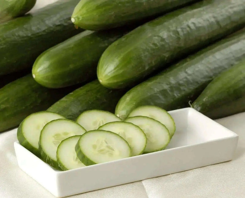 POINTSETT Cucumber Seeds .slicing cucumber,Open Pollinated vegetable - Caribbean garden seed