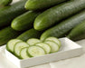 POINTSETT Cucumber Seeds .slicing cucumber,Open Pollinated vegetable - Caribbean garden seed