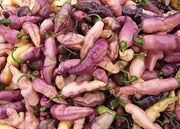 PINK TIGER ,Hot Pepper,seeds, (Capsicum chinense) very hot - Caribbean garden seed