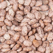 Pinto Bean Seeds ,Shell & Dry BUSH Bean -Organic - Caribbean garden seed