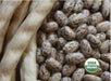 Pinto Bean Seeds ,Shell & Dry BUSH Bean -Organic - Caribbean garden seed