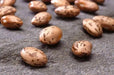 Pinto Bean Seeds ,Shell & Dry BUSH Bean -Organic - Caribbean garden seed