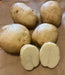 Potatoes , Reba (Late Season) Seed Potatoes,ANNUAL VEGETABLE, NON GMO - Caribbean garden seed