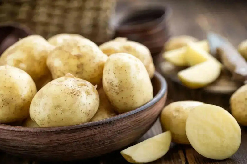 Potatoes , Reba (Late Season) Seed Potatoes,ANNUAL VEGETABLE, NON GMO - Caribbean garden seed