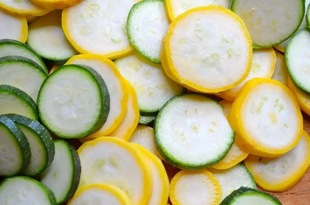 Prolific Straightneck Squash -, Summer Squash, ANNUAL VEGETABLE ! - Caribbean garden seed