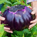 Prosperosa Eggplant Seeds- HEIRLOOM Italian Vegetable - Caribbean garden seed