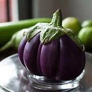 Prosperosa Eggplant Seeds- HEIRLOOM Italian Vegetable - Caribbean garden seed