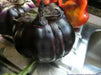 Prosperosa Eggplant Seeds- HEIRLOOM Italian Vegetable - Caribbean garden seed