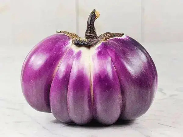 Prosperosa Eggplant Seeds- HEIRLOOM Italian Vegetable - Caribbean garden seed