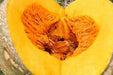 Pumpkin Seeds, Calabaza, Jamaican Pumpkin - Winter Squash - Caribbean garden seed