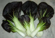 Purple Baby Pak Choi SEEDS-Asian Vegetable,CHINESE CABBAGE - Caribbean garden seed