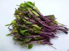 Purple Choy Sum seeds (kosaitai) Asian Vegetable - Caribbean garden seed