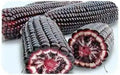 Purple SWEET CORN seeds - Beautiful multi-purpose, Vegetable - Caribbean garden seed