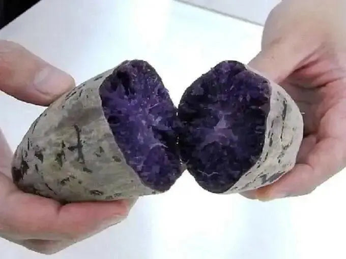 Purple Sweet Potato (FRESH PRODUCT). JAPANESE PURPLE SKIN YAM - Caribbean garden seed