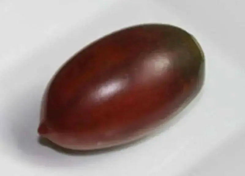 Purple Russian Tomato Seeds-Organic-Open Pollinated Tomato !Untreated, - Caribbean garden seed