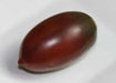Purple Russian Tomato Seeds-Organic-Open Pollinated Tomato !Untreated, - Caribbean garden seed