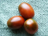 Purple Russian Tomato Seeds-Organic-Open Pollinated Tomato !Untreated, - Caribbean garden seed