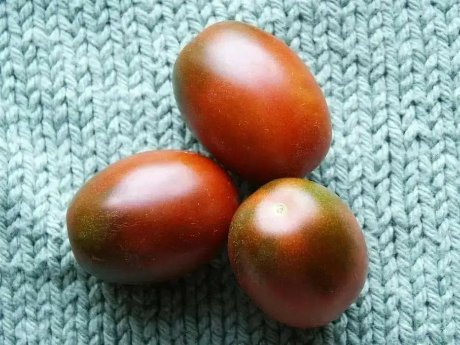 Purple Russian Tomato Seeds-Organic-Open Pollinated Tomato !Untreated, - Caribbean garden seed