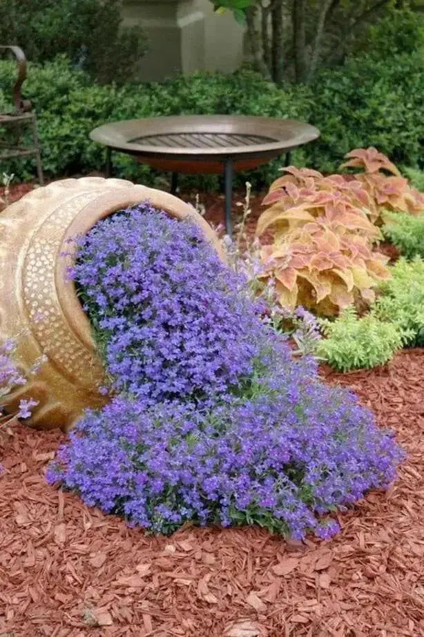 PURPLE RockCress FLOWERS SEED ,PERENNIAL GROUNDCOVER - Caribbean garden seed