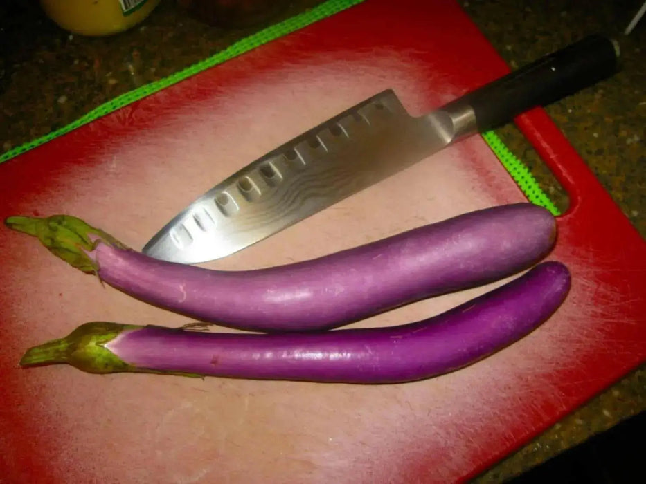 PURPLE LONG EGGPLANT Seeds, Asian Vegetable - Caribbean garden seed