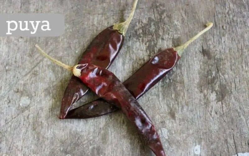 Puya Chili, Hot Pepper Seed-Organically Grown ! - Caribbean garden seed