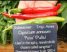 Puya Chili, Hot Pepper Seed-Organically Grown ! - Caribbean garden seed