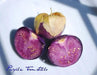 Purple Tomatillo Seeds - Physalis ixocarpa - Open Pollinated ,Annual Vegetable - Caribbean garden seed