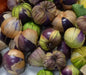 Purple Tomatillo Seeds - Physalis ixocarpa - Open Pollinated ,Annual Vegetable - Caribbean garden seed