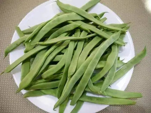 QING BIAN, Romano Pole Bean Seeds - Caribbean garden seed
