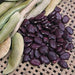 Purple Lima Bean,10 SEEDS ( POLE BEAN) Heirloom, Non Gmo Untreated - Caribbean garden seed