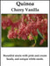 Quinoa Plant Seeds- cherry vanilla -Beautiful strain with pink and cream heads ! - Caribbean garden seed