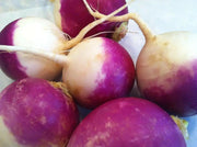 PURPLE TOP TURNIP ,ANNUAL VEGETABLE SEEDS - Caribbean garden seed
