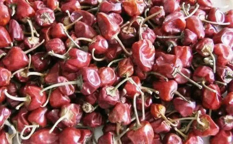 Ramnad  Round Pepper Seeds, Asian Vegetable - Caribbean garden seed