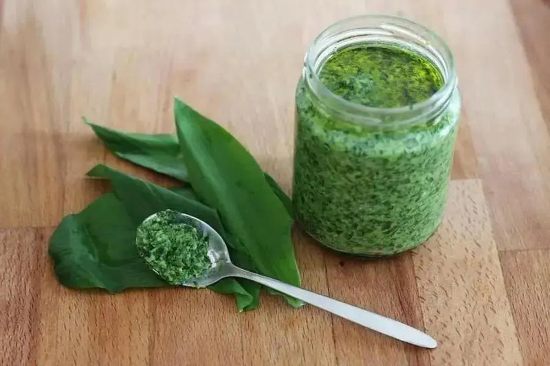Ramp,Wild Leek Seeds (Allium tricoccum)   Perennial, - Caribbean garden seed
