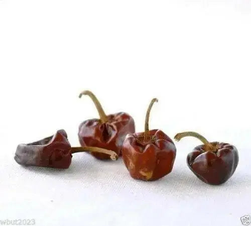 Ramnad Mundu Round, Capsicum annuum, PEPPER Seeds - Caribbean garden seed