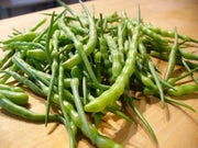 Rat's Tail Radish Seeds - Asian Vegetable - Caribbean garden seed