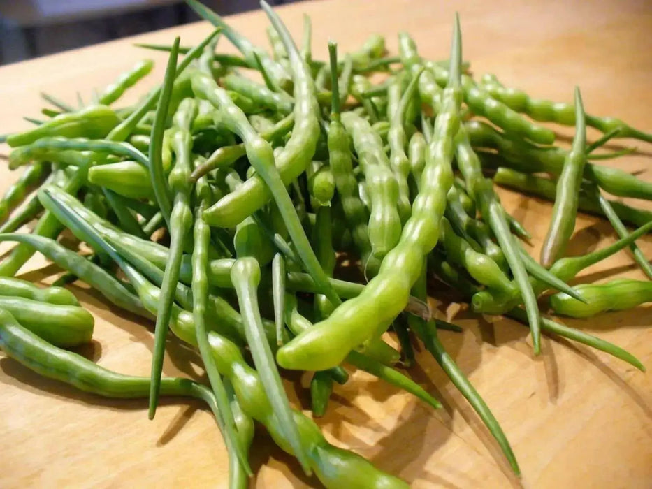 Rat's Tail Radish Seeds - Asian Vegetable - Caribbean garden seed