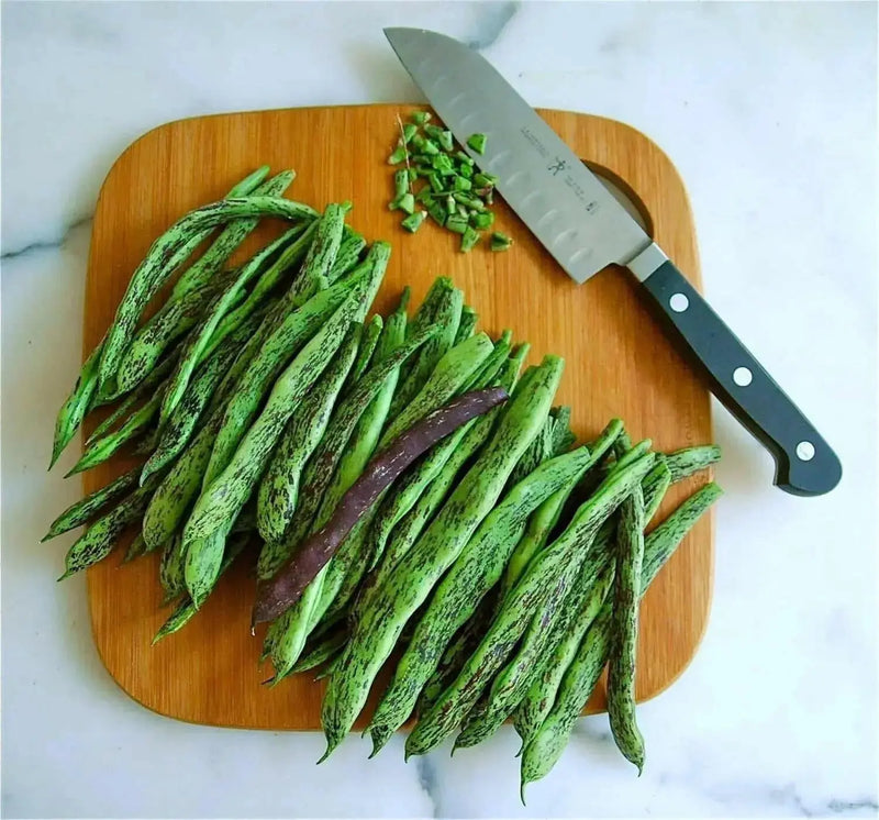 Rattlesnake SNAP POLE BEAN,(Phaseolus vulgaris) aka Preacher Bean  Seeds - Caribbean garden seed