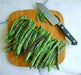 Rattlesnake SNAP POLE BEAN,(Phaseolus vulgaris) aka Preacher Bean 200 Seeds - Caribbean garden seed