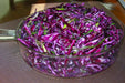 Red Acre Cabbage Seeds ,Brassica oleracea, grown as microgreens  baby leaf or full maturity  . - Caribbean garden seed