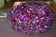 RED ACRE , Cabbage Seeds ,  (Brassica oleracea) Untreated - Caribbean garden seed