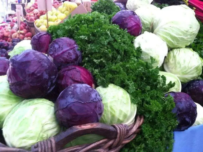 RED ACRE , Cabbage Seeds ,  (Brassica oleracea) Untreated - Caribbean garden seed